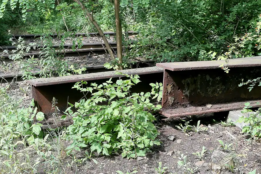 020 | 2008 | Berlin | Natur-Park Schöneberger Südgelände – ehemaliger Rangierbahnhof Tempelhof | © carsten riede fotografie