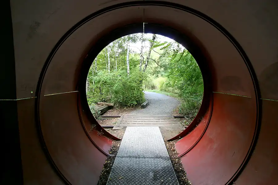025 | 2008 | Berlin | Natur-Park Schöneberger Südgelände – ehemaliger Rangierbahnhof Tempelhof | © carsten riede fotografie