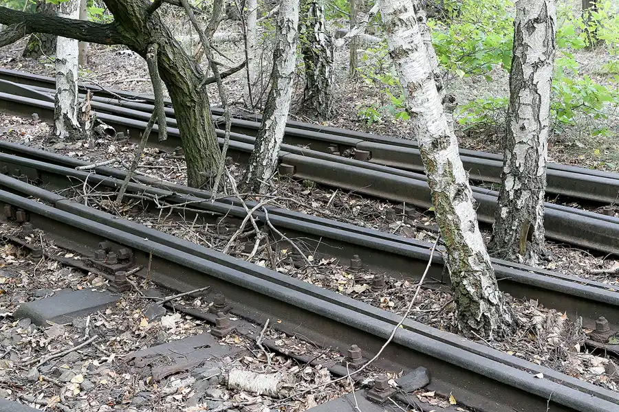 033 | 2008 | Berlin | Natur-Park Schöneberger Südgelände – ehemaliger Rangierbahnhof Tempelhof | © carsten riede fotografie