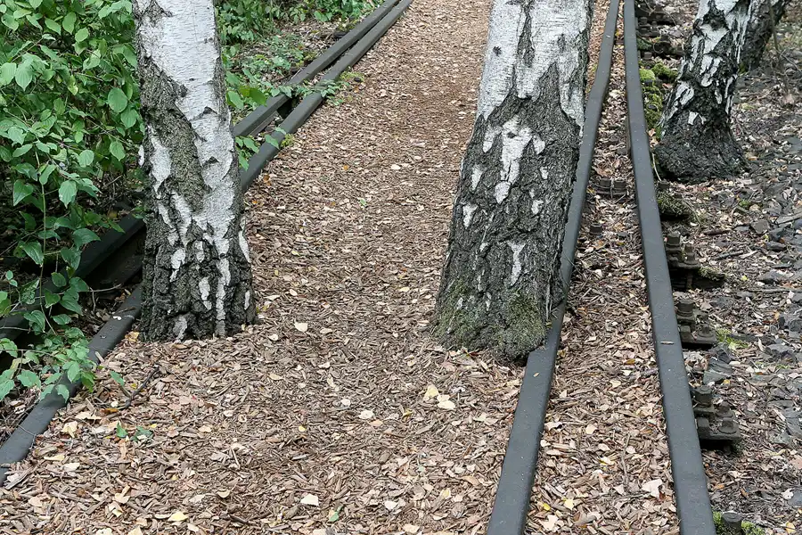 036 | 2008 | Berlin | Natur-Park Schöneberger Südgelände – ehemaliger Rangierbahnhof Tempelhof | © carsten riede fotografie