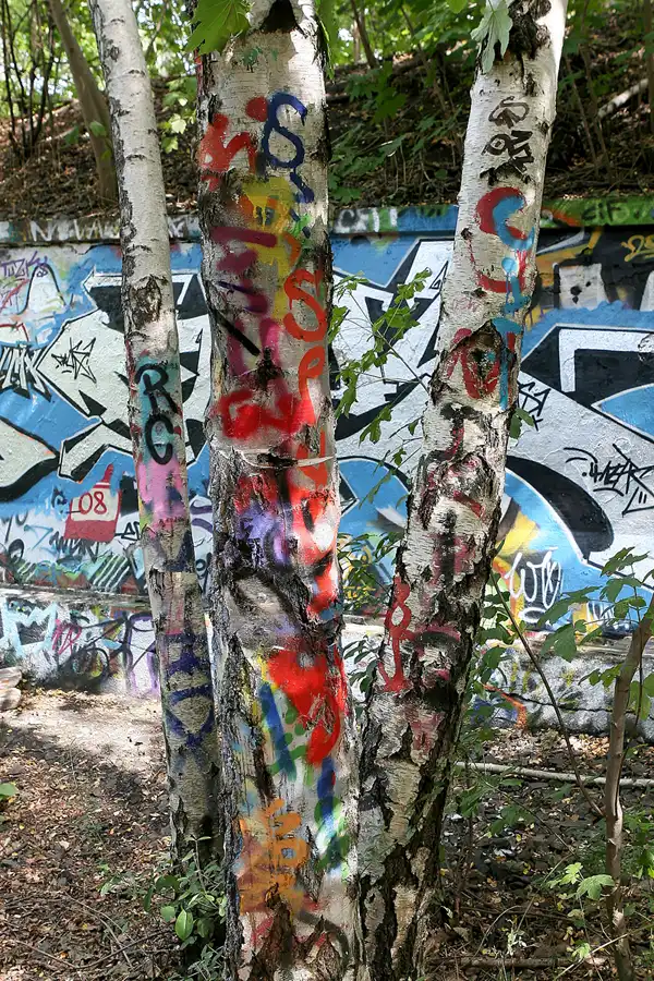 044 | 2008 | Berlin | Natur-Park Schöneberger Südgelände – ehemaliger Rangierbahnhof Tempelhof | © carsten riede fotografie