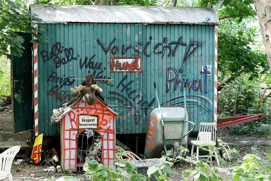 047 | 2008 | Berlin | Natur-Park Schöneberger Südgelände – ehemaliger Rangierbahnhof Tempelhof | © carsten riede fotografie
