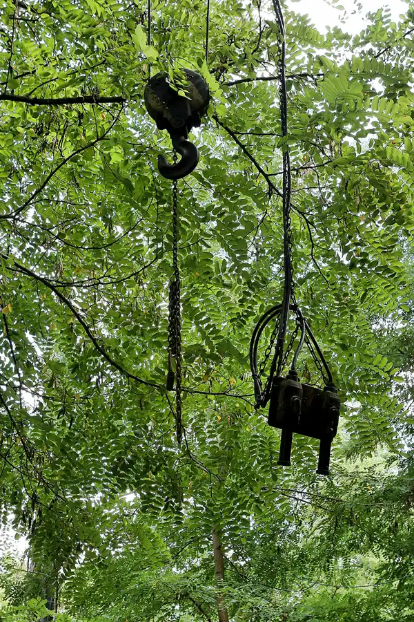 056 | 2008 | Berlin | Natur-Park Schöneberger Südgelände – ehemaliger Rangierbahnhof Tempelhof | © carsten riede fotografie