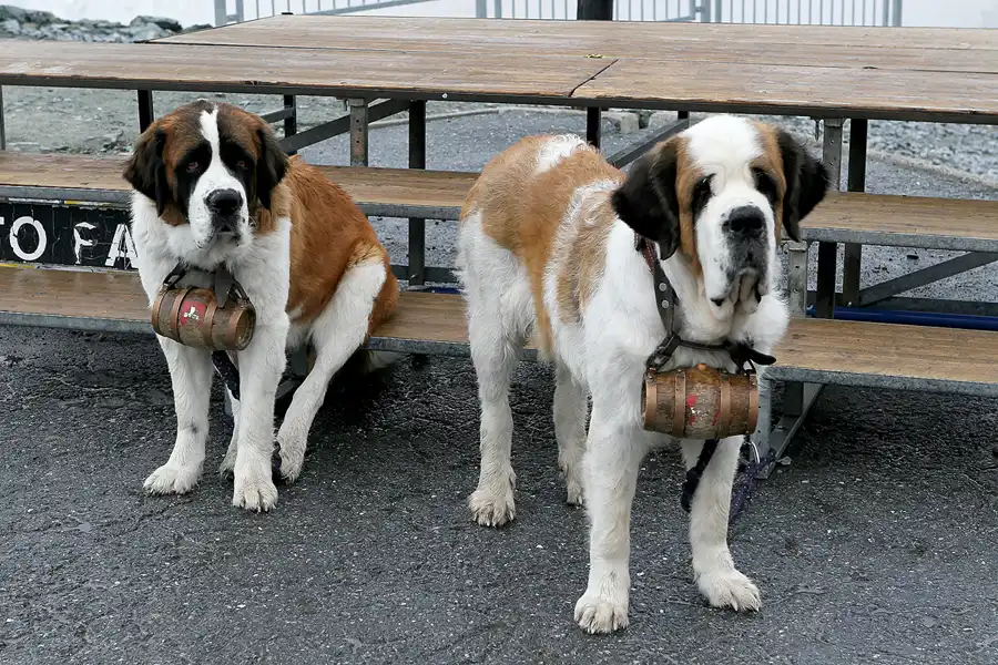 033 | 2008 | Zermatt – Gornergrat | Fahrt mit der Gornergratbahn | © carsten riede fotografie