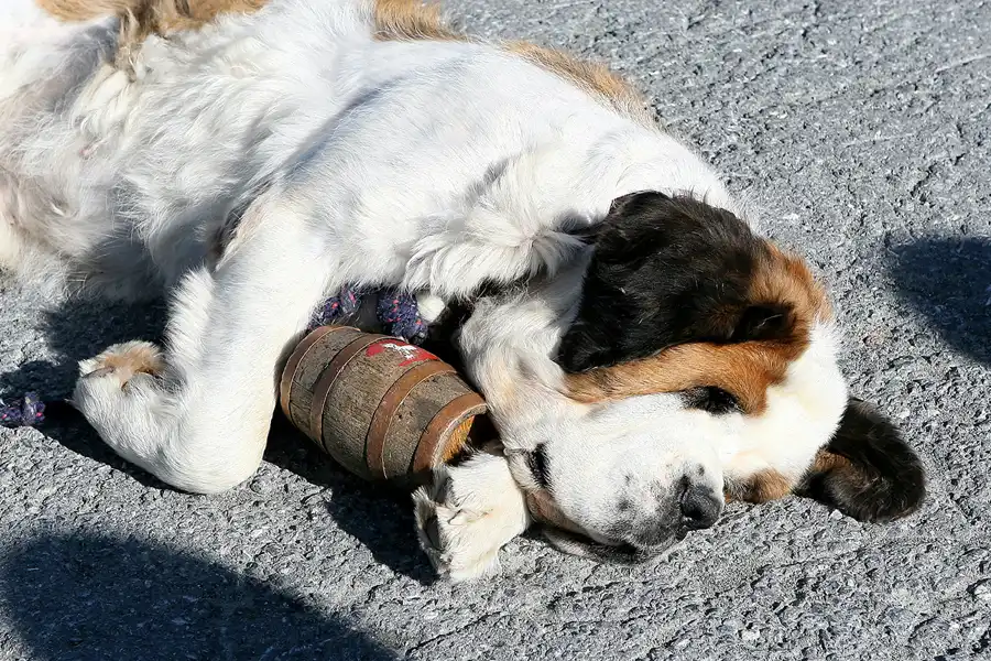 061 | 2008 | Zermatt – Gornergrat | Fahrt mit der Gornergratbahn | © carsten riede fotografie