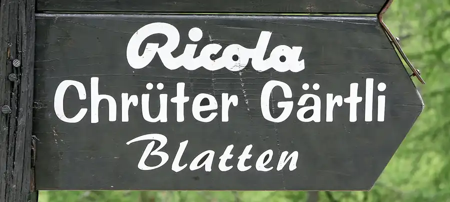 147 | 2008 | Zermatt | Wanderung von Schwarzsee paradise nach Zermatt | © carsten riede fotografie