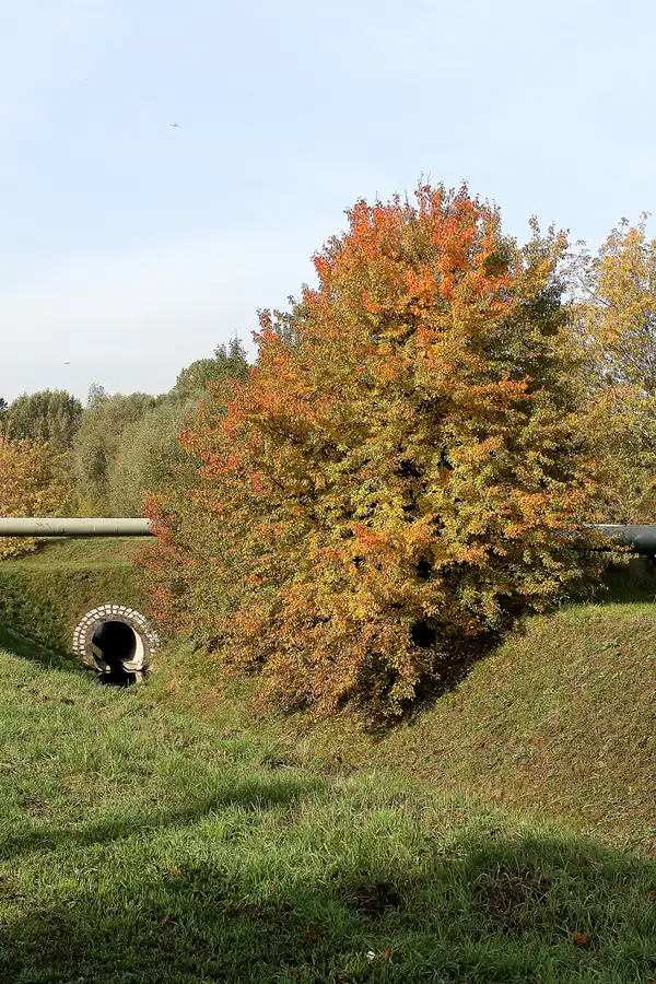 001 | 2008 | Berlin | Rund um den Malchower See | © carsten riede fotografie