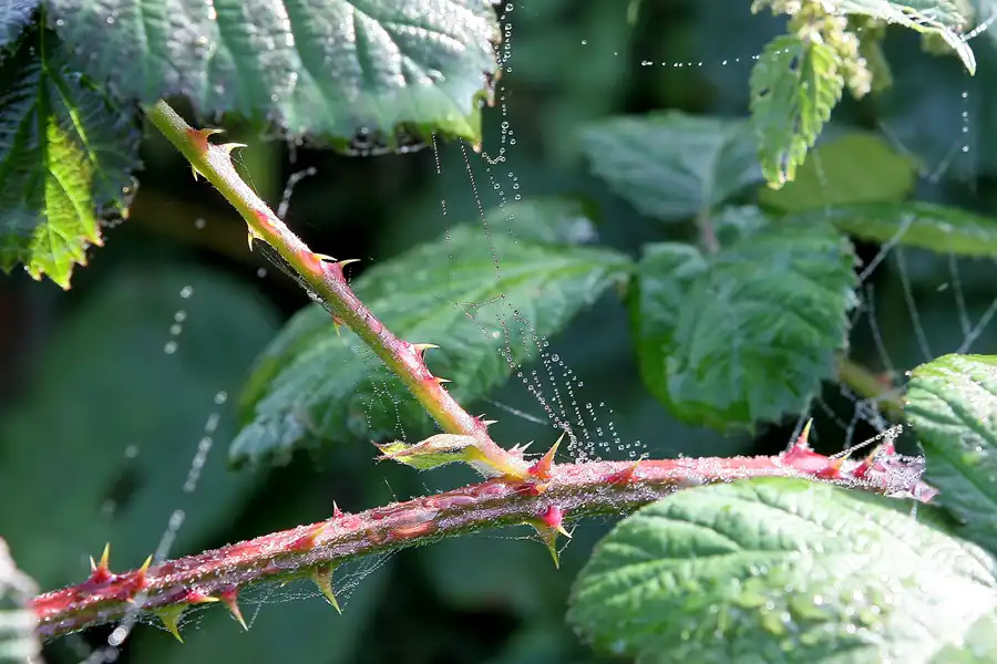 008 | 2008 | Berlin | Rund um den Malchower See | © carsten riede fotografie