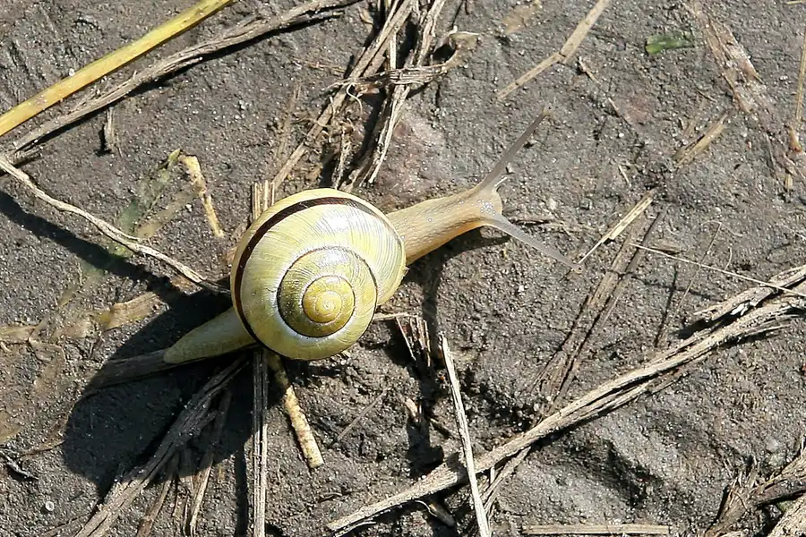 012 | 2008 | Berlin | Rund um den Malchower See | © carsten riede fotografie