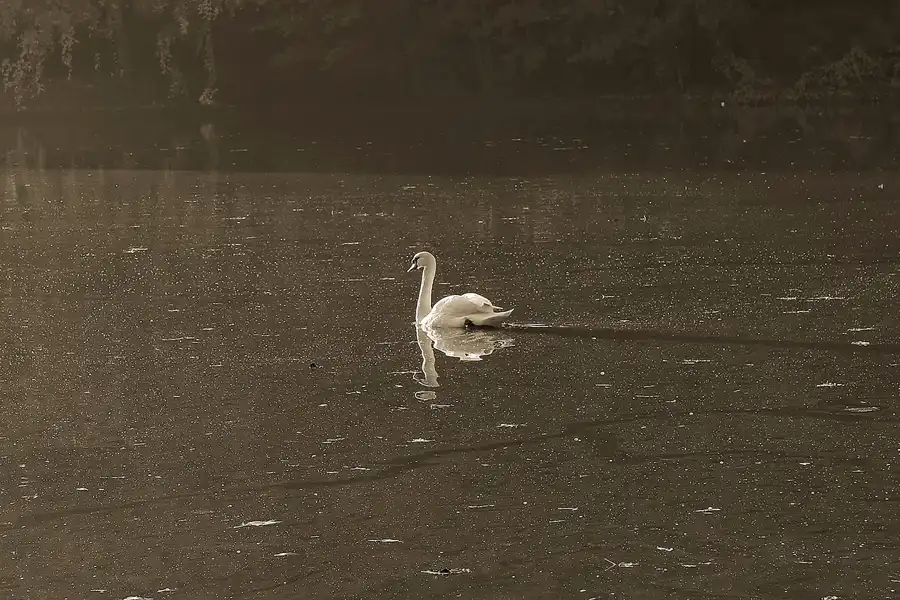 031 | 2008 | Berlin | Obersee-Orankesee-Park | © carsten riede fotografie