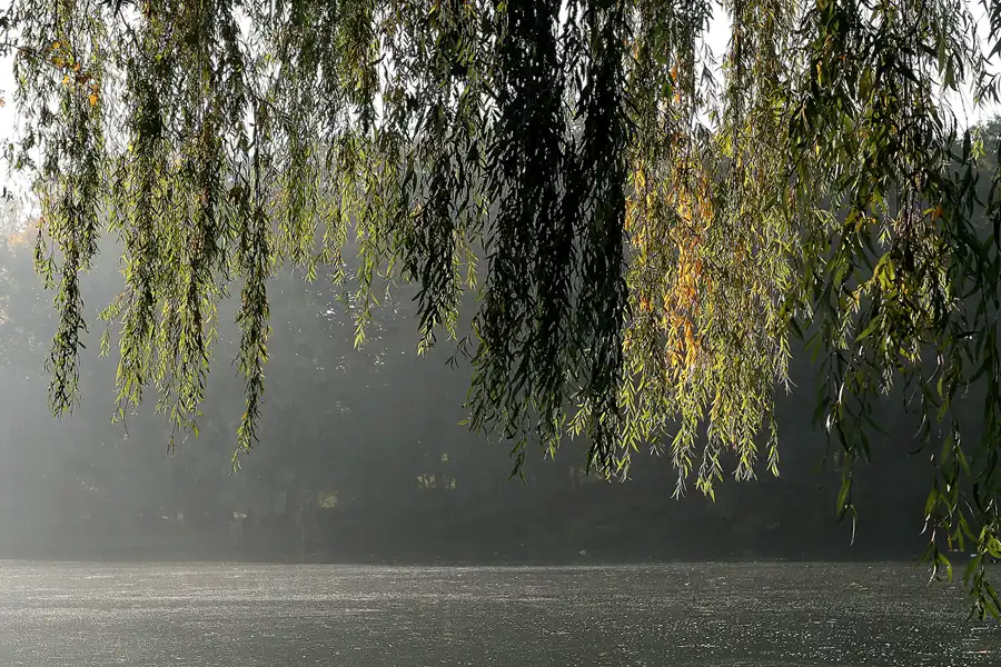034 | 2008 | Berlin | Obersee-Orankesee-Park | © carsten riede fotografie