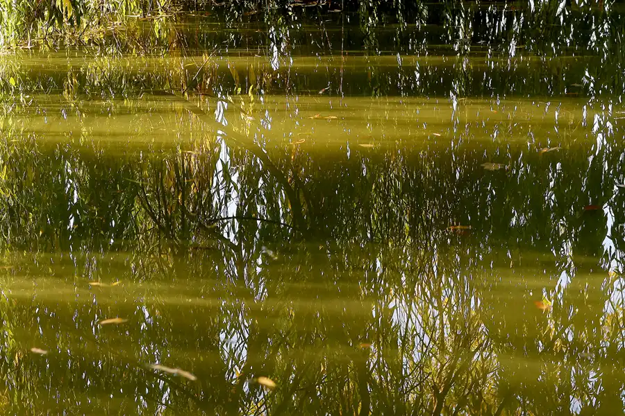 036 | 2008 | Berlin | Obersee-Orankesee-Park | © carsten riede fotografie