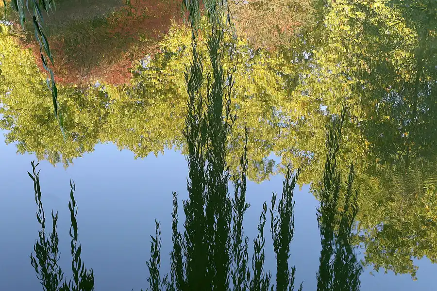 040 | 2008 | Berlin | Obersee-Orankesee-Park | © carsten riede fotografie