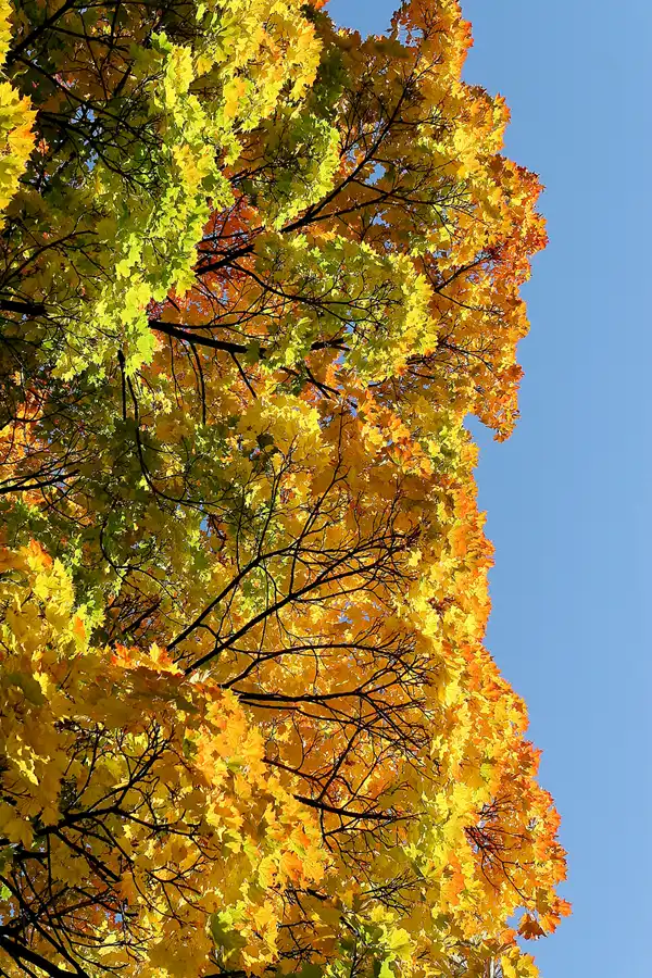 048 | 2008 | Berlin | Obersee-Orankesee-Park | © carsten riede fotografie
