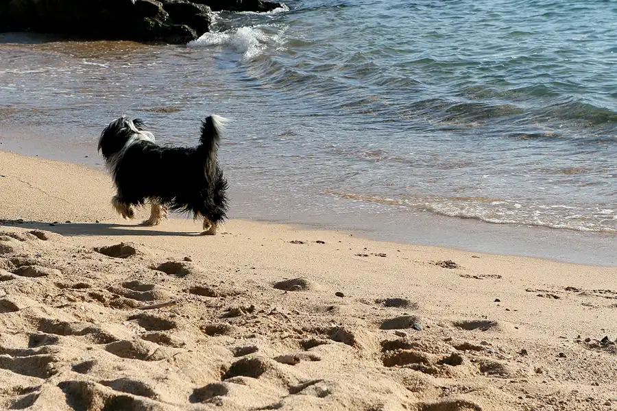 023 | 2008 | Tossa De Mar | © carsten riede fotografie