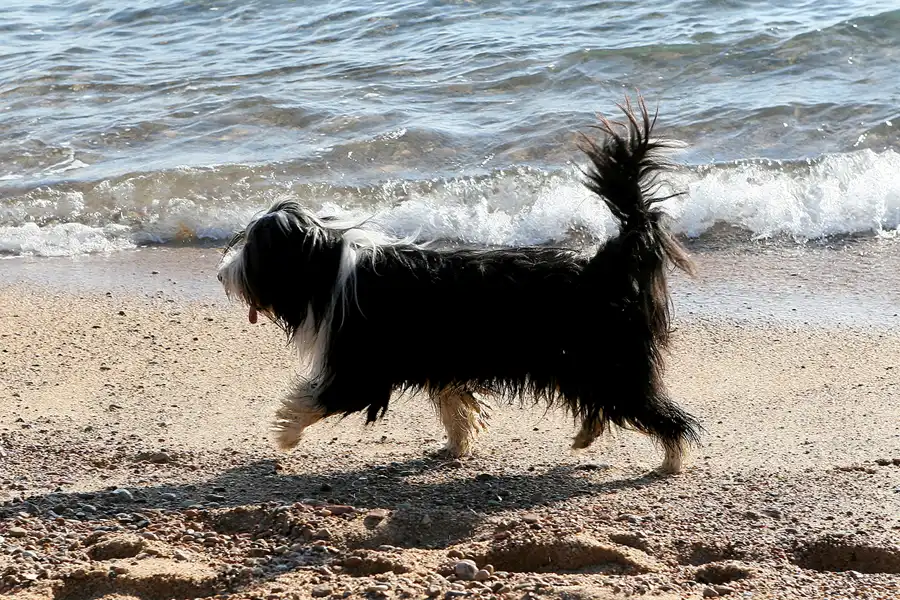 024 | 2008 | Tossa De Mar | © carsten riede fotografie