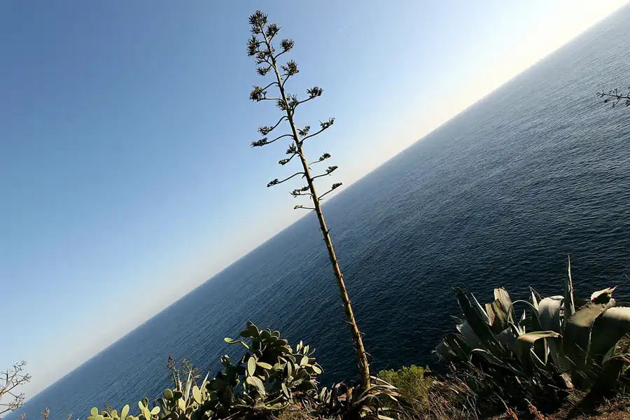 044 | 2008 | Tossa De Mar | © carsten riede fotografie