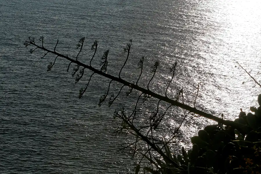 045 | 2008 | Tossa De Mar | © carsten riede fotografie