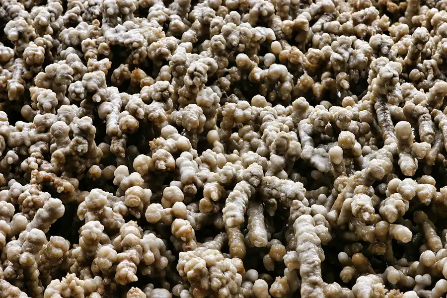 008 | 2009 | Bad Dürrenberg | Gradierwerk | © carsten riede fotografie