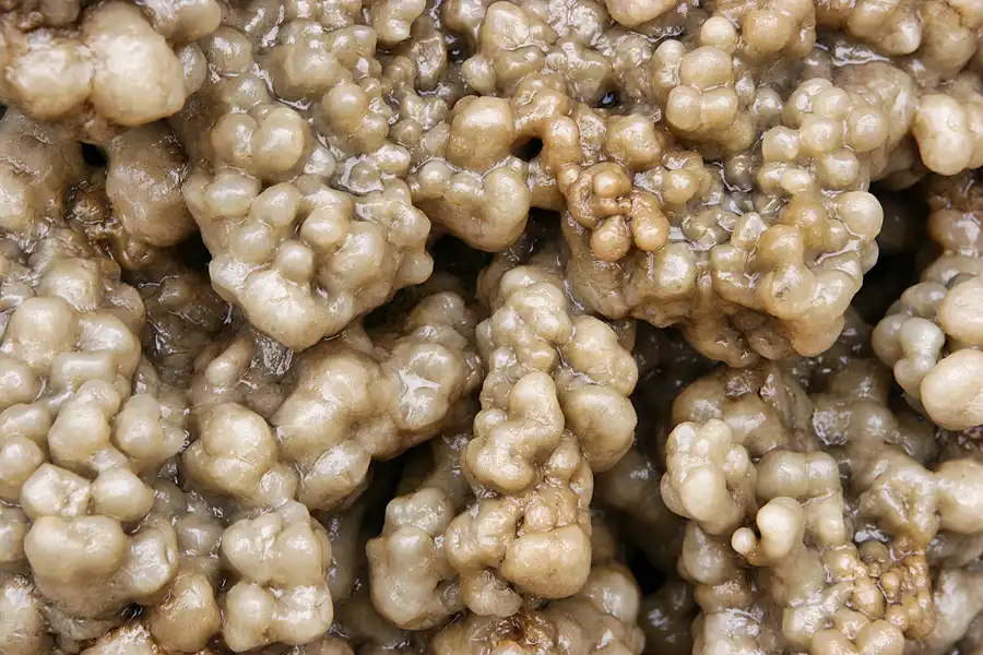 009 | 2009 | Bad Dürrenberg | Gradierwerk | © carsten riede fotografie