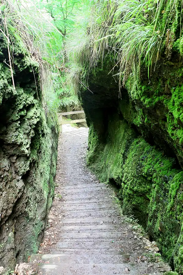 066 | 2009 | Thüringer Wald | Drachenschlucht | © carsten riede fotografie