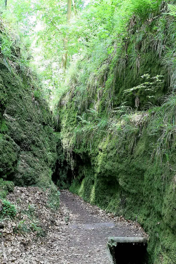 067 | 2009 | Thüringer Wald | Drachenschlucht | © carsten riede fotografie