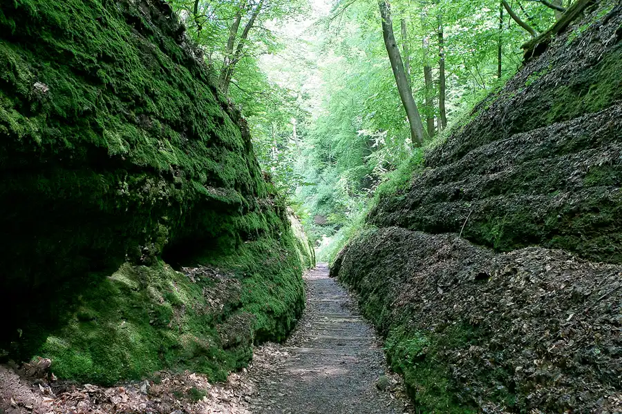 072 | 2009 | Thüringer Wald | Drachenschlucht | © carsten riede fotografie