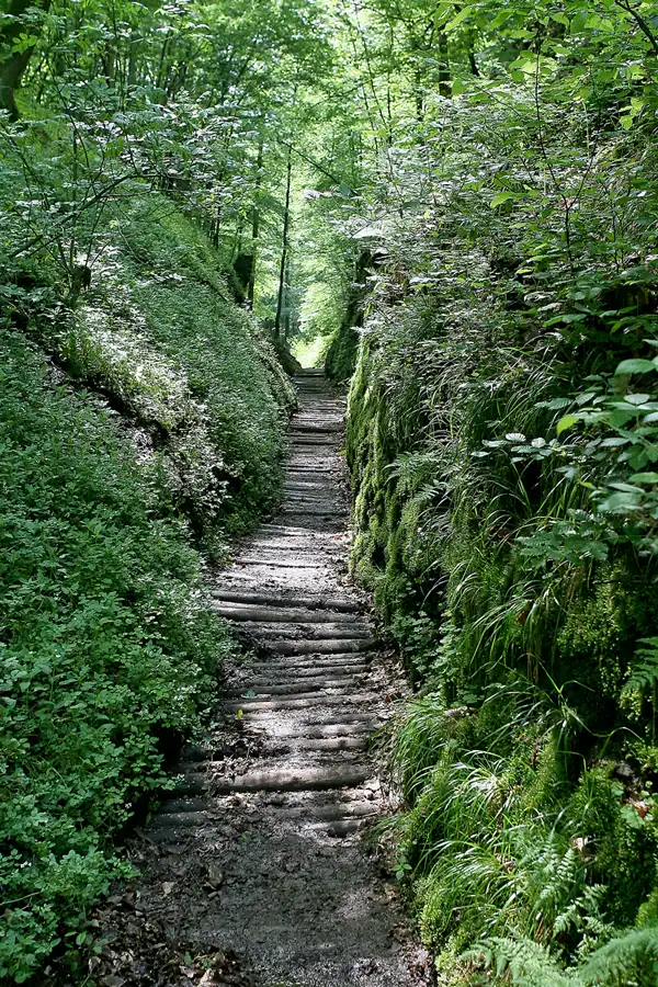 073 | 2009 | Thüringer Wald | Drachenschlucht | © carsten riede fotografie