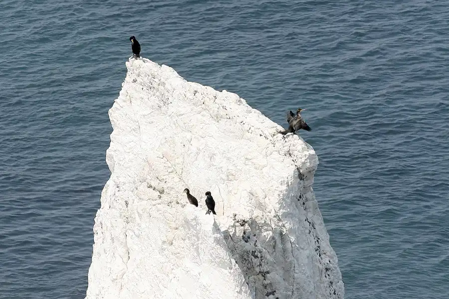 029 | 2009 | Isle Of Wight | The Needles Park | © carsten riede fotografie