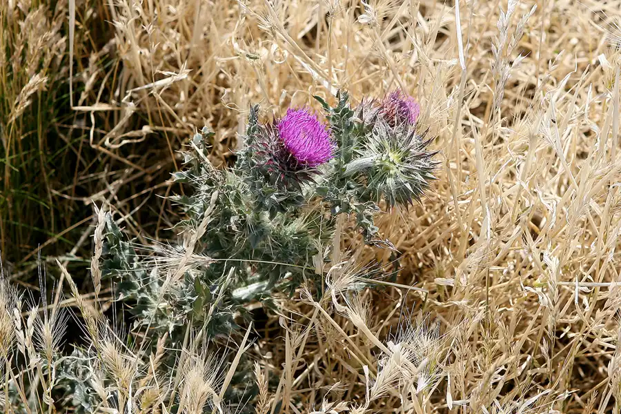 046 | 2009 | Isle Of Wight | Blackgang Chine | © carsten riede fotografie