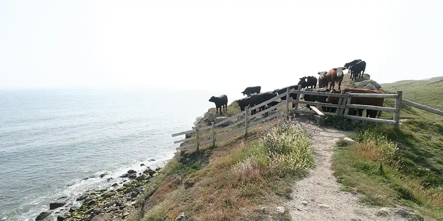 058 | 2009 | Isle Of Wight | St. Catherine`s Point | © carsten riede fotografie