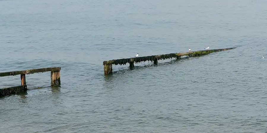 070 | 2009 | Isle Of Wight | Shanklin | © carsten riede fotografie