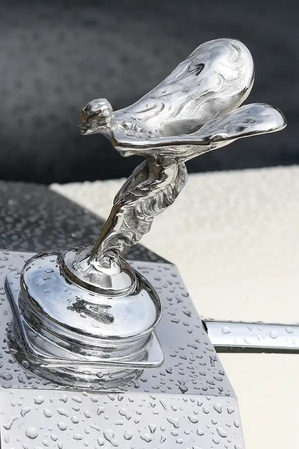202 | 2009 | Goodwood | Festival Of Speed | © carsten riede fotografie