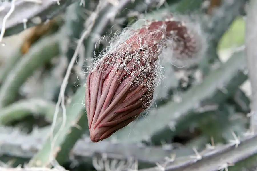 004 | 2009 | Oranienburg | Landesgartenschau | © carsten riede fotografie