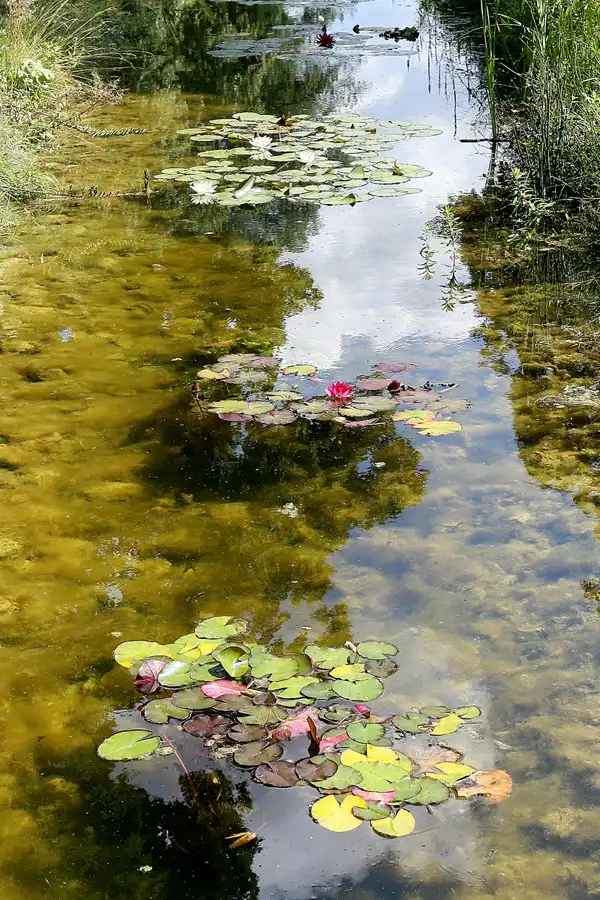 048 | 2009 | Oranienburg | Landesgartenschau | © carsten riede fotografie