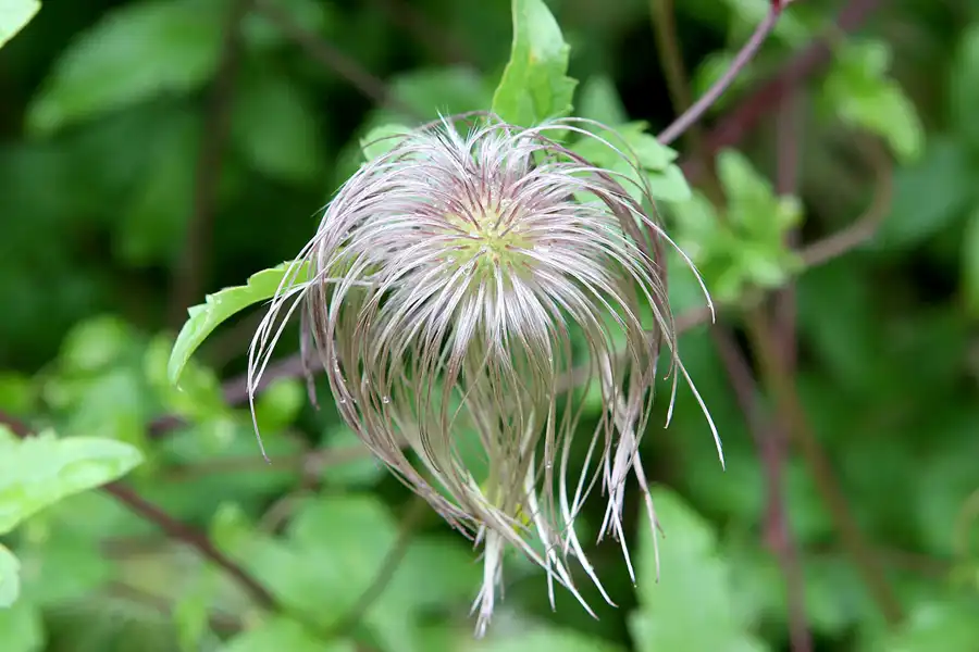 043 | 2009 | Cawdor Castle | © carsten riede fotografie