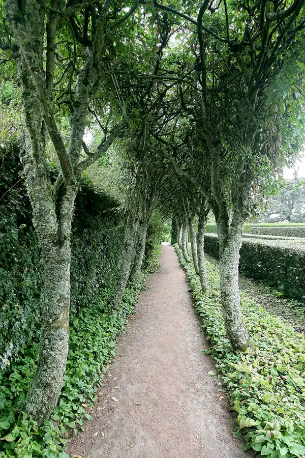 049 | 2009 | Cawdor Castle | © carsten riede fotografie