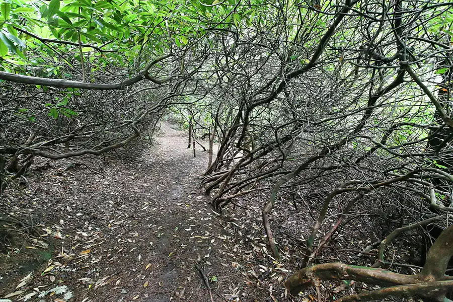 052 | 2009 | Cawdor Castle | © carsten riede fotografie