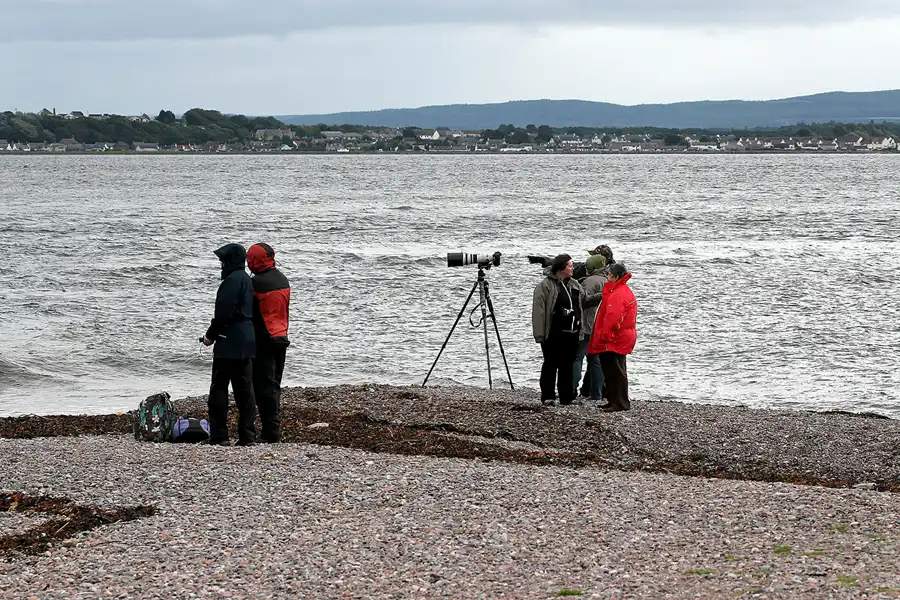 095 | 2009 | Fortrose | Chanonry Point | © carsten riede fotografie