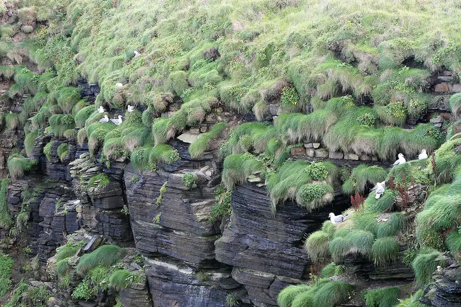 018 | 2009 | Highlands Route A99 | Duncansby Head | © carsten riede fotografie
