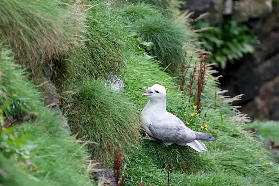 019 | 2009 | Highlands Route A99 | Duncansby Head | © carsten riede fotografie
