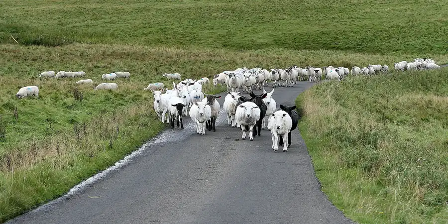 025 | 2009 | Highlands Route A99 | Duncansby Head | © carsten riede fotografie