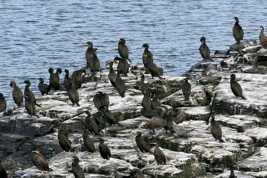 045 | 2009 | Highlands Route A99 | Noss Head | © carsten riede fotografie