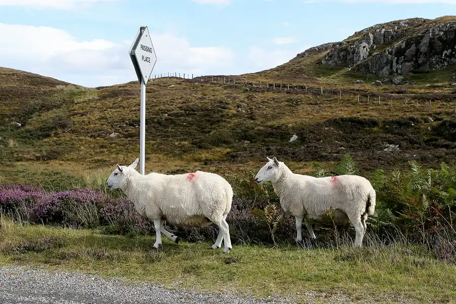 023 | 2009 | Highlands Route A836 + A838 | © carsten riede fotografie