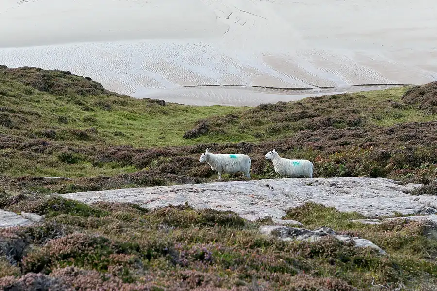 061 | 2009 | Highlands Route A836 + A838 | Durness – Ceannabeinne Beach | © carsten riede fotografie