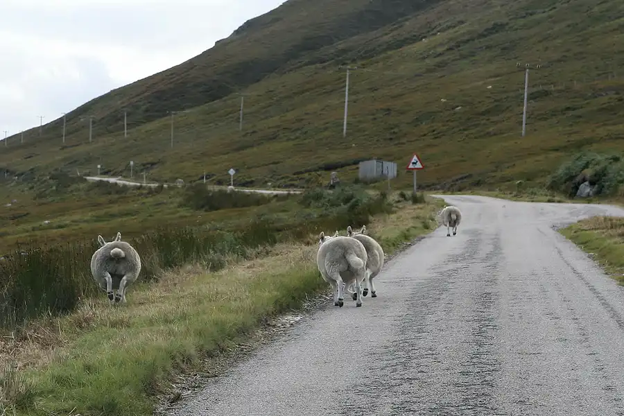 091 | 2009 | Highlands Route A836 + A838 | © carsten riede fotografie