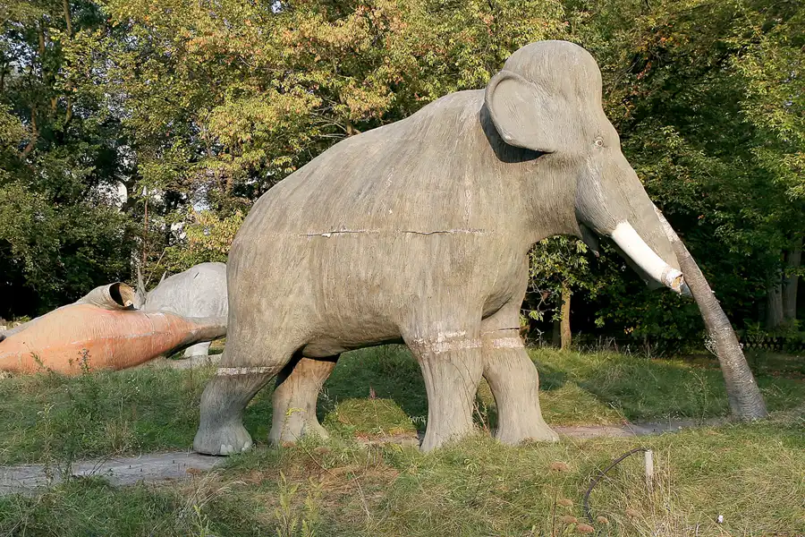 083 | 2009 | Berlin | Spreepark | © carsten riede fotografie