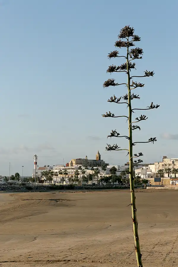 006 | 2009 | Rota | © carsten riede fotografie