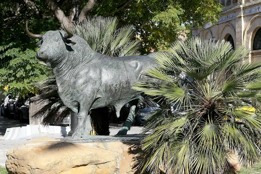 074 | 2009 | El Puerto De Santa Maria | © carsten riede fotografie