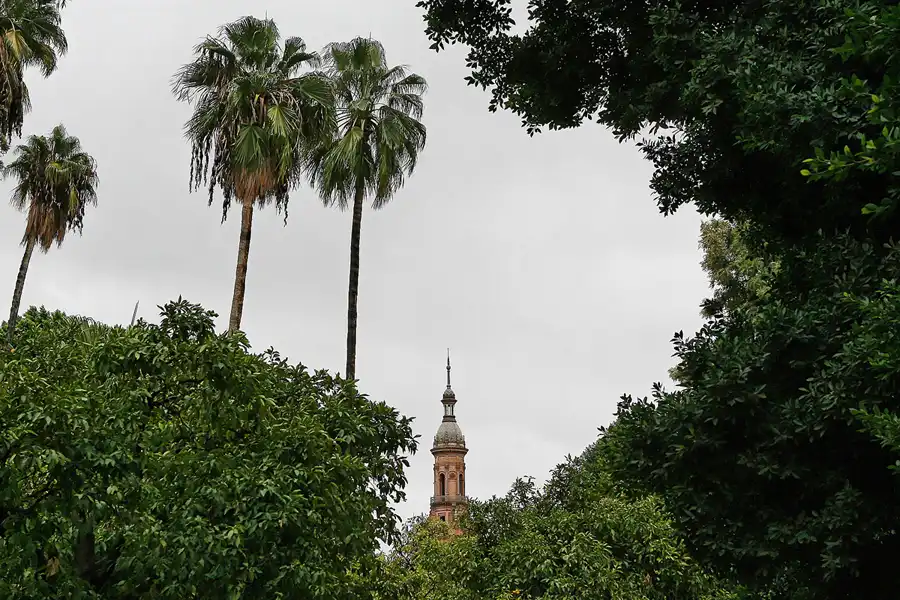 142 | 2009 | Sevilla | © carsten riede fotografie